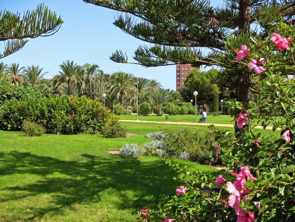 30-3- Бюджетная Комната В Квартире Для 2 Человека, Alicante Lägenhet Exteriör bild